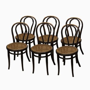 No.18 Chairs by Michael Thonet, 1900, Set of 6