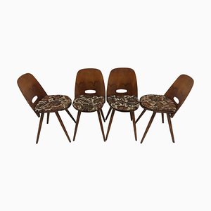 Mid-Century Dining Chairs from Tatra Pravenec, 1960s, Set of 4