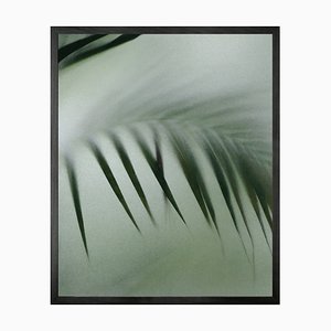 Palm Etch 4, lienzo impreso mediano enmarcado de Mineheart