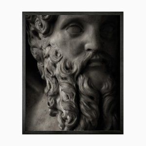 Statuesque 10, Framed Medium Printed Canvas from Mineheart