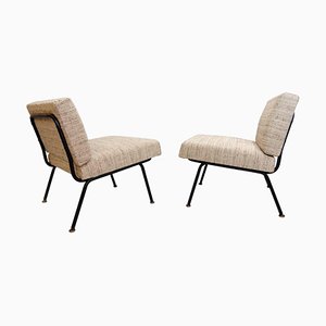 Set of Italian Easy Chairs with a Black Tubular Steel Frame