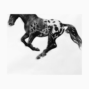 Hocus Focus, Dynamic Realistic Horse Drawing, Charcoal on Paper, 2019