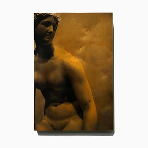 Persefone, Fotografia su legno, Hi-Gloss, 2010