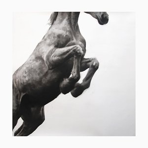 Puissance, Pferdezeichnung, Kohle und Graphit auf Fabriano Papier, 2016