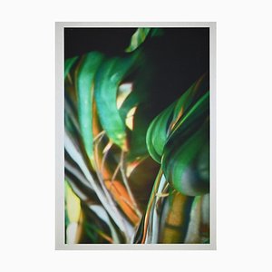 Tibor Gertler, No Title, Original Photograph by Nikhil Bhandari, 2008