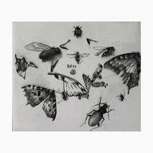 Krzysztof Skórczewski, Bocetos rurales de insectos, 2011