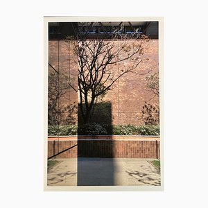 Stampa Just just Tree, fine art, set di 20