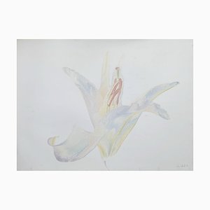 Czeslaw Czaplinski Lily, 1995
