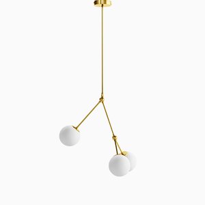 Chloris I Pendant by Nicolas Brevers for Gobolights