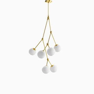 Chloris III Pendant by Nicolas Brevers for Gobolights