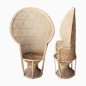 Mid-Century Peacock Wicker Hand-Crafted Armchairs, France, 1960, Set of 2