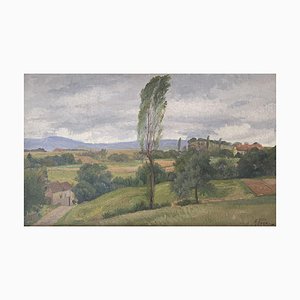 Paysage d'un Paysan, Antoine Ponchin, 1910