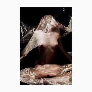Ian Sanderson, Organza Dream, 2006, Archival Pigment Print