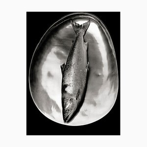 Ian Sanderson, Salmon, Archival Pigment Print, 1985