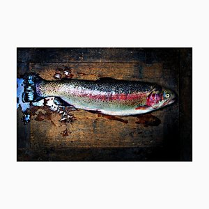 Ian Sanderson, Trout, Stampa d'arte, 2009