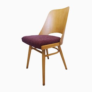 Modell 514 Stuhl in Lila von Lubomir Hofmann für TON, 1960er