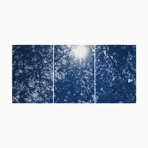 Luz del sol a través de las ramas de los bosques, tríptico Cyanotype Print, 2020