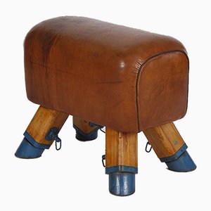 Cheval d'Arçons ou Tabouret Vintage en Cuir, 1950s