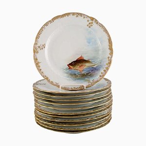 Antique Pirkenhammer Porcelain Dinner Plates with Hand-Painted Fish, Set of 12