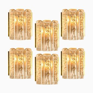 Glass and Brass Wall Sconce by Doria, 1960