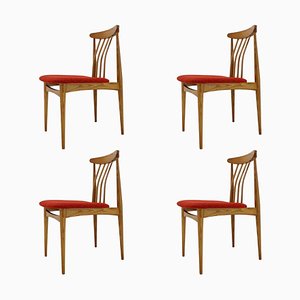 Mid-Century Organic Beech Dining Chairs, 1960s, Set of 4