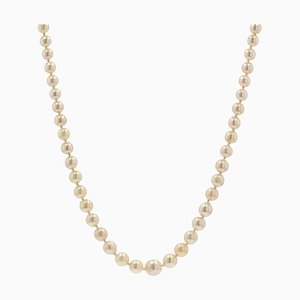 French Cream Cultured Pearl Falling Necklace