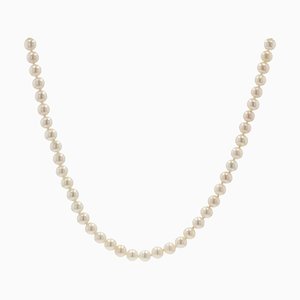 Modern Cultured Pearl 18 Karat Yellow Gold Choker Necklace