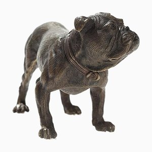 Bulldog inglés de bronce de Workshop Bermann