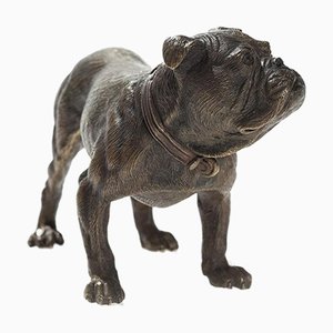 Bulldog inglese in bronzo di Workshop Bermann