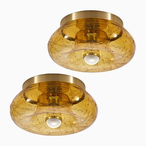 Große Bernsteinfarbene Wand- & Deckenlampe aus Glas von Doria Leuchten, 1970er