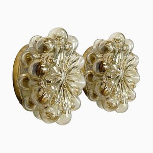 Amber Glass Wall Lights Sconces by Helena Tynell for Glashütte Limburg, Set of 2