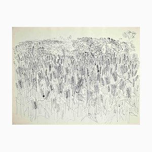 Desconocido, Campo de trigo, Litografía, Raoul Dufy, 1933