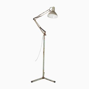 Mid-Century Floor Standing Industrial Anglepoise 1001 Swivel Lamp