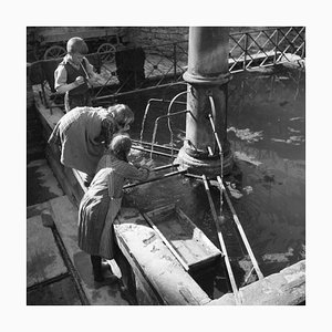 Bambini che bevono acqua dalla fontana di Heidelberg, Germania 1936, stampato 2021