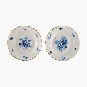 Assiettes Antiques en Porcelaine de Meissen avec Fleurs Peintes à la Main et Bordure Dorée, Set de 2
