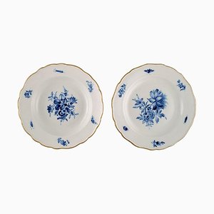 Platos antiguos de porcelana Meissen con flores pintadas a mano y borde dorado. Juego de 2