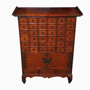 Chinese Elm Medicine Cabinet with Small Carved Drawers & Brass Fittings