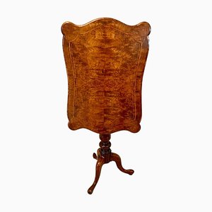 Lámpara de mesa victoriana antigua de madera nudosa de nogal