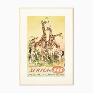 Africa di Scandinavian Airlines, 1950