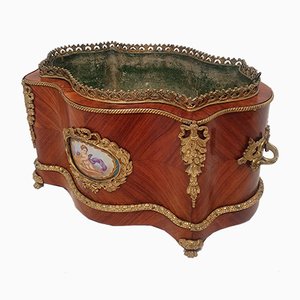 19th Century Rosewood and Bronze Planter from Sèvres Porcelain Medallions