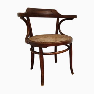 Butaca o silla de bistró antigua de madera curvada, años 50