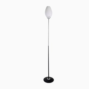 Floor Lamp with Murano Glass from Lucente, Italy,