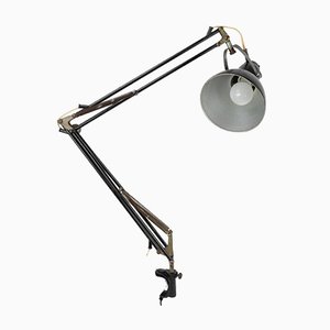 Desk Lamp from Napako, 1930s