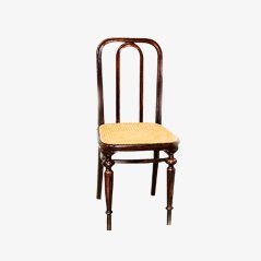 Model 41 Dining Chair from Thonet, 1860s