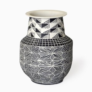 Wide Optics by Dana Bechert