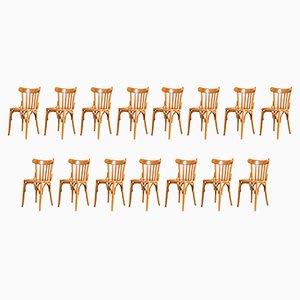 Bentwood Honey Beech Bentwood Dining Chairs, 1970s, Set of 15