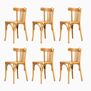 Bentwood Honey Beech Bentwood Dining Chairs, 1950s, Set of 6