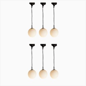 Deckenlampen aus Opalglas mit schwarzen Tulip Cone Cords, 1960er, 6 . Set