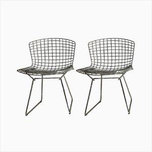 Set of Vintage Chairs by Harry Bertoia for Knoll, 2000