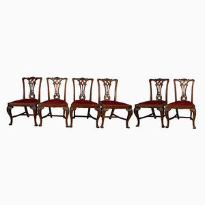Chippendale Style Dining Chairs in Oak, Set of 6